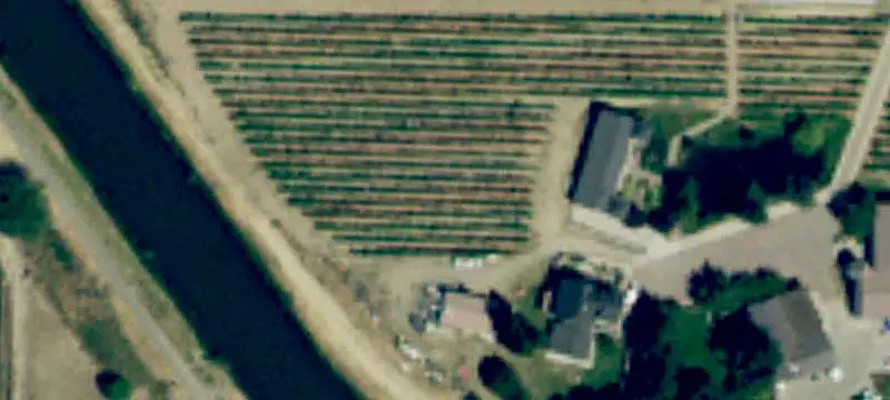 Vineyard Estate With Winery