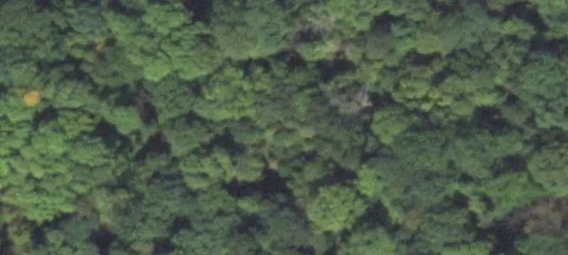 Agricultural Land with Orchard