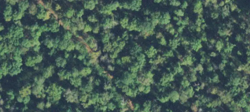 Agricultural Land