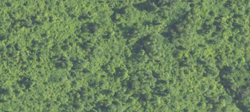 Land Parcel