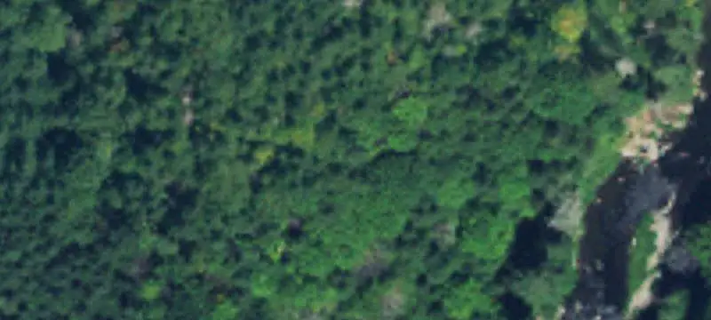 Wooded Recreation Land