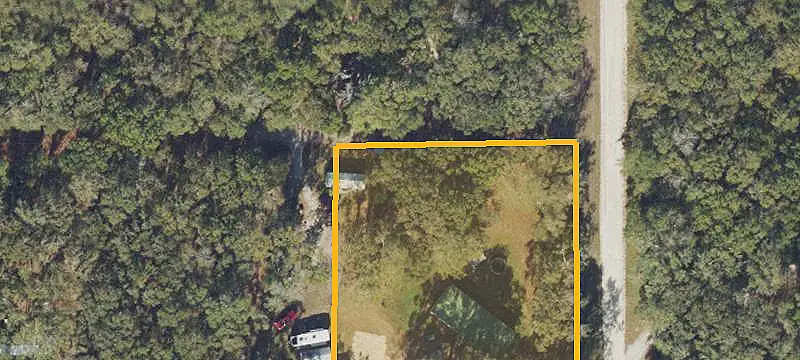 Planted Pine Agricultural Land