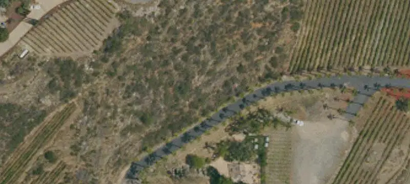 Vineyard With Tasting Room