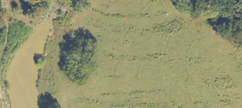 Land/Lot