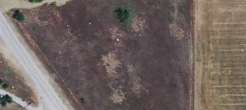Farm with Grazing and Hunting Habitat