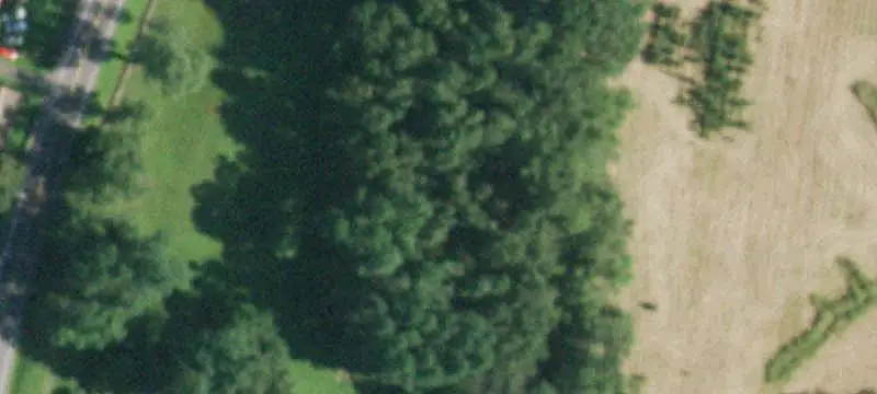 Two-Story Flex Space