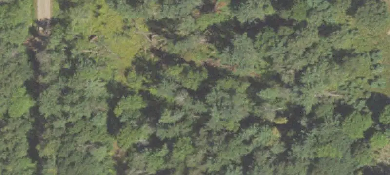 Land / Acreage