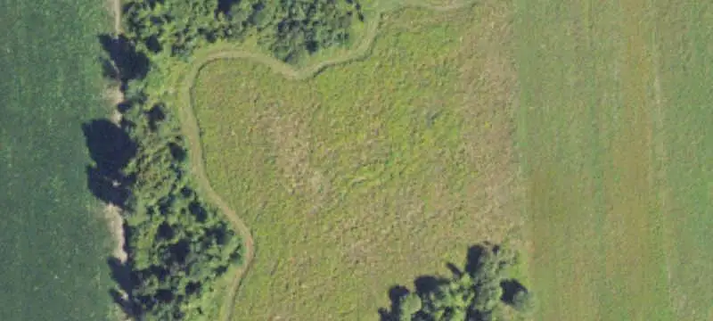 Agricultural Land with Road Frontage