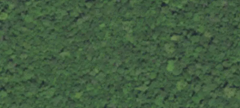 Lots & Acreage / Rural