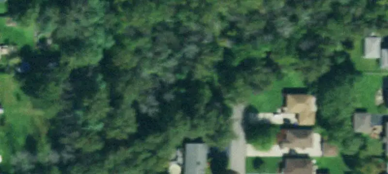 Land / Other