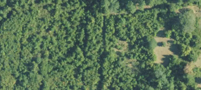 Hunting Land with Updated Camp House