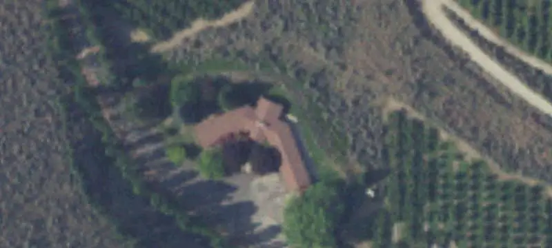 Irrigated Orchard Farm with Residence