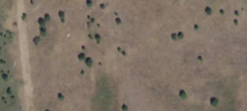 Land/Property