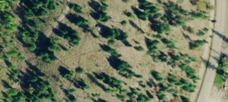 Land/Property