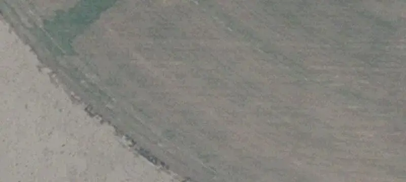 Large-Scale Dairy Farm