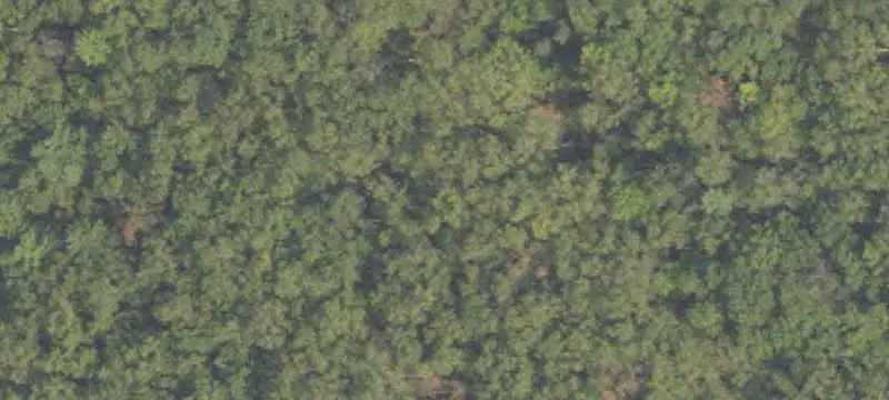 Hunting Land with Camping Site