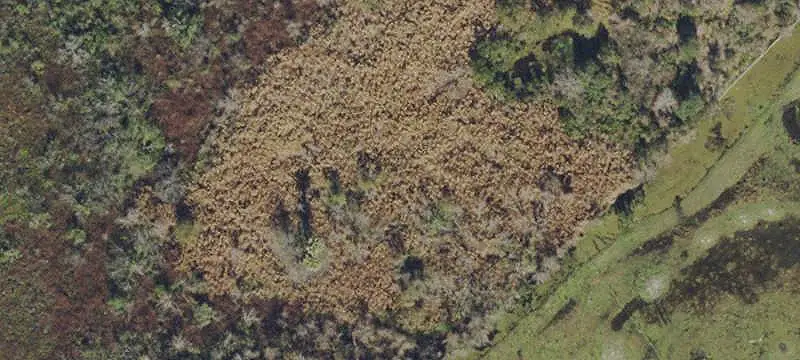 Lots/Land