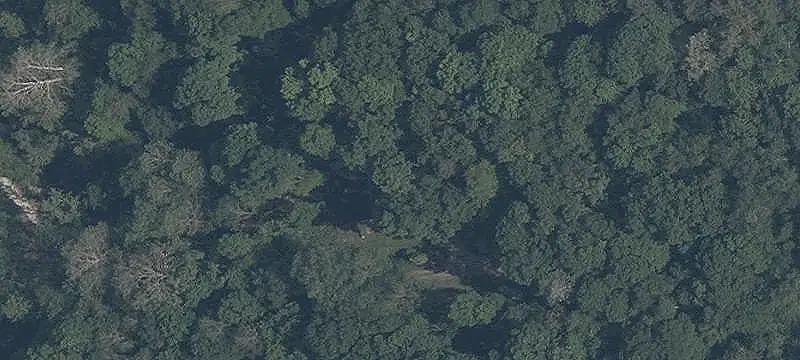 Wooded Campground With Lodge And Cabin