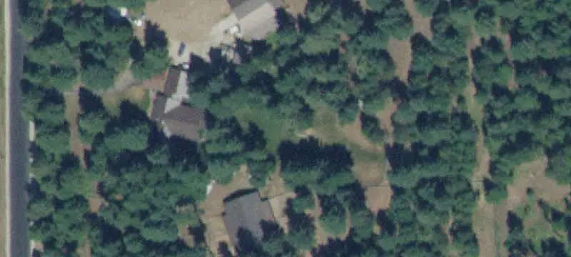 Timbered Land Parcel