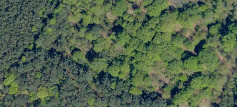 Signalized-Corner Commercial Land