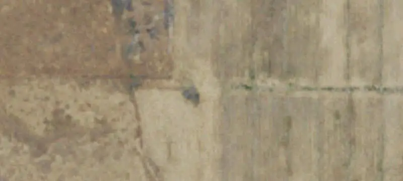 Irrigated Agricultural Land