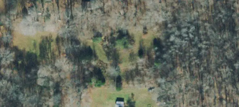 Agricultural Land with Wooded Acreage
