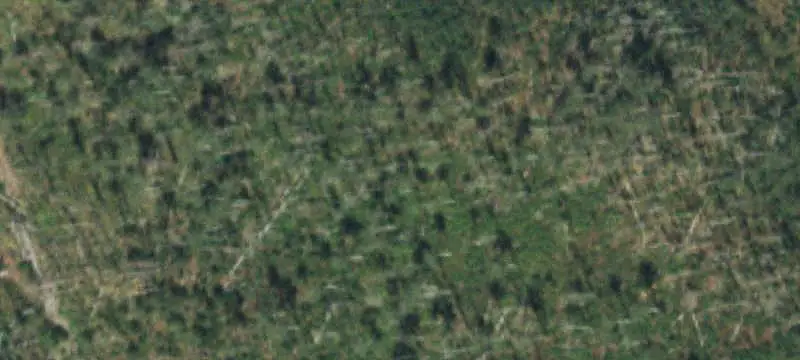 Mountain Hunting Land with Cabin