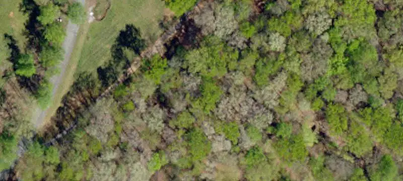 Vacant Land