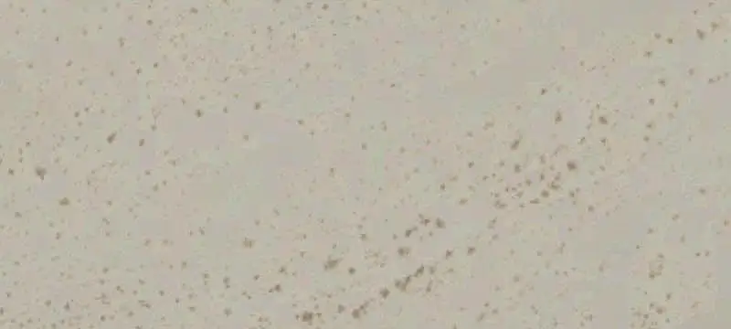 Lots/Land
