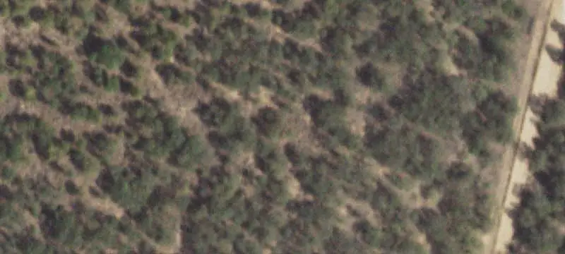 I-20 Commercial Land
