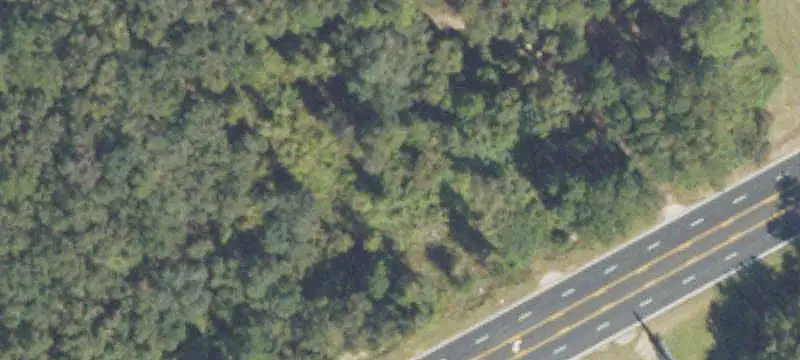 Commercial Land Near Lodge