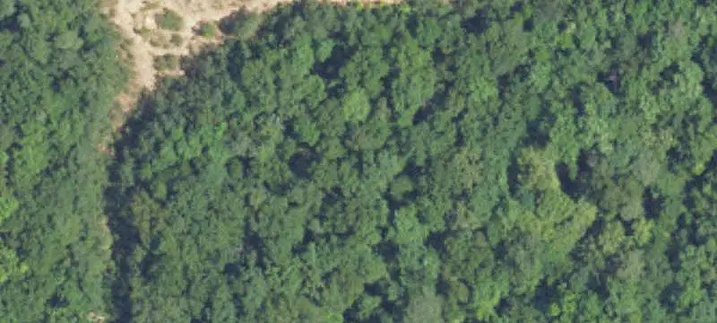 Land