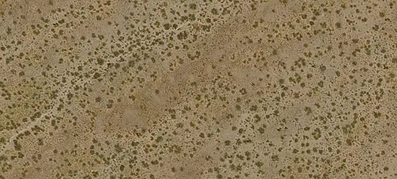 Two-Parcel Agricultural Land