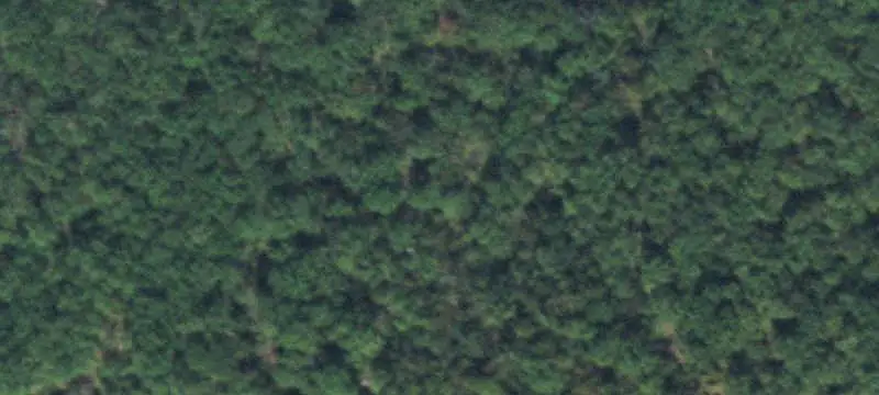Undeveloped Land