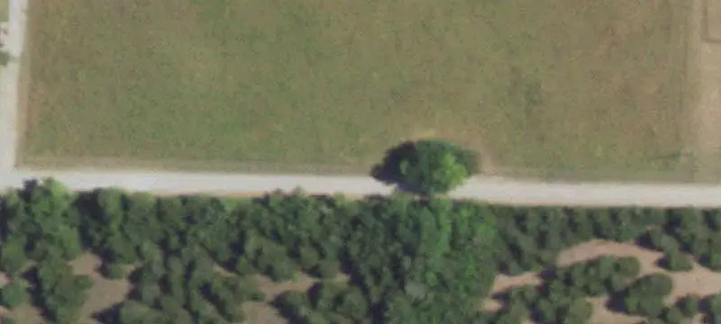 Lots & Acreage / Farm/Ranch