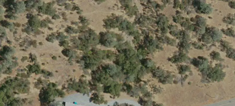 Land/Lot