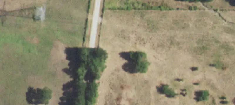 East Texas Agricultural Acreage