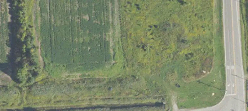 Unimproved Land