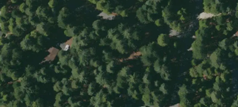 Lots/Land / Acres