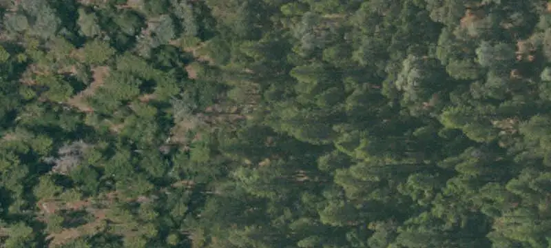 Lots/Land