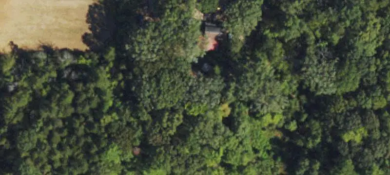 Timbered Land with Lake Access