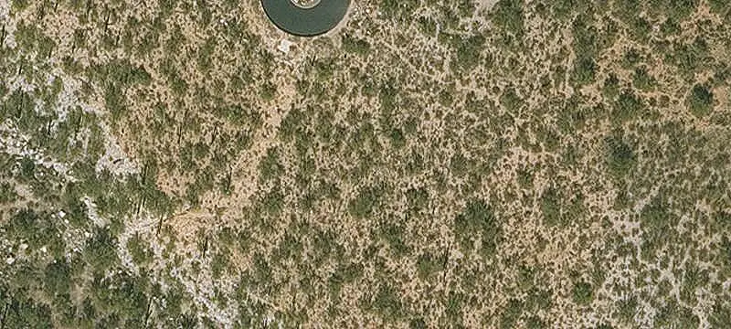 Land/Lot