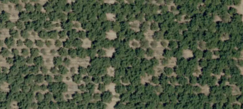 Irrigated Agricultural Land