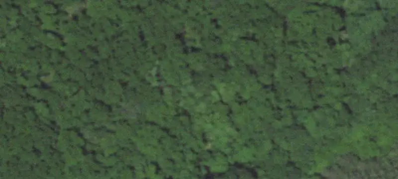 Farmland with Four Ponds