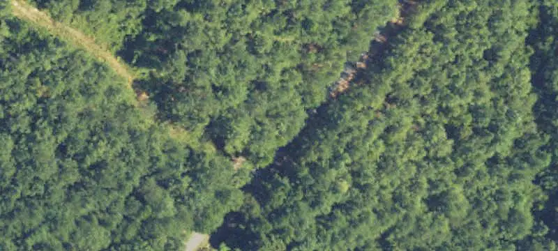 Hunting Land with Cabin