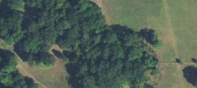 Unimproved Land