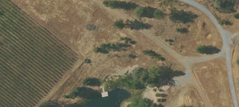 Vineyard Estate with Private Pond