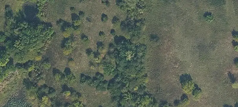 Unimproved Land