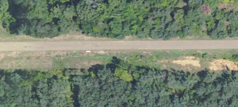 Hunting Land with Mature Hardwoods