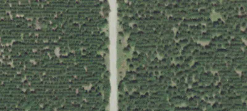 Wooded Hunting Land